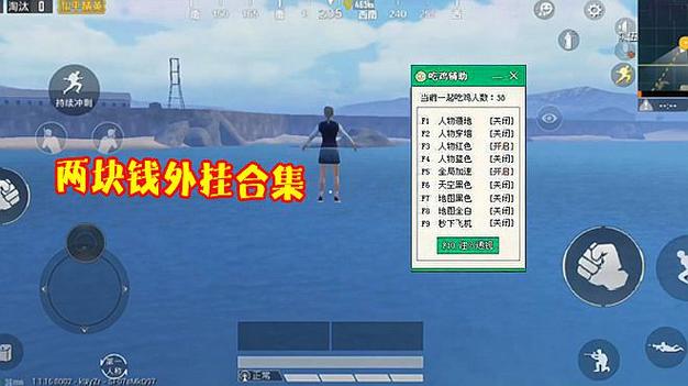 和平精英辅助【神女】